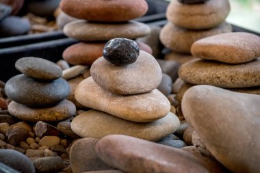Zen natürmortu için kayalar