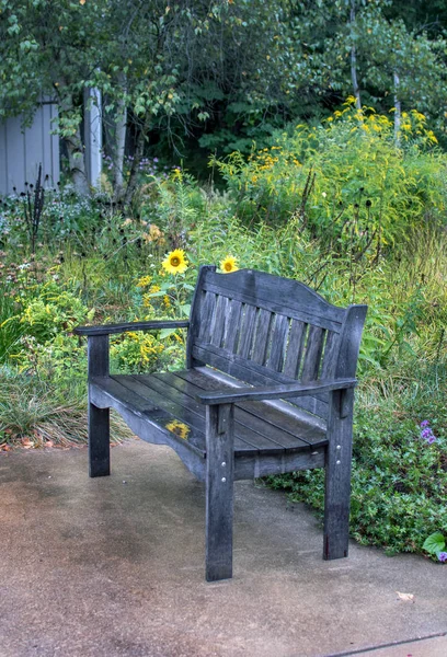 Парк скамейка и цветы под дождем — стоковое фото