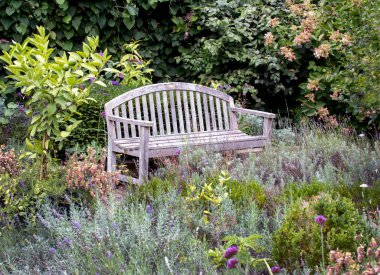 Sonbahar çiçekleri bahçesindeki ahşap park bankında