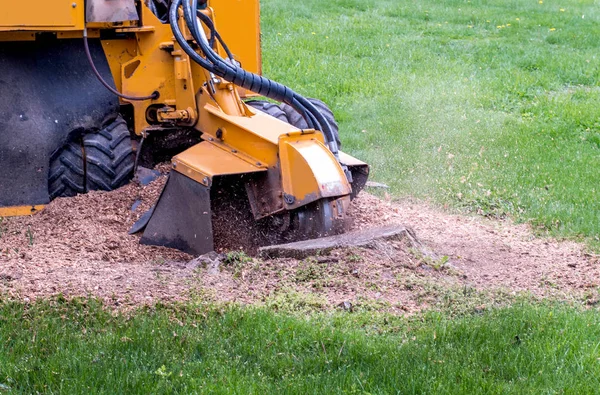 Stummelschleifer frisst einen Stumpf auf — Stockfoto