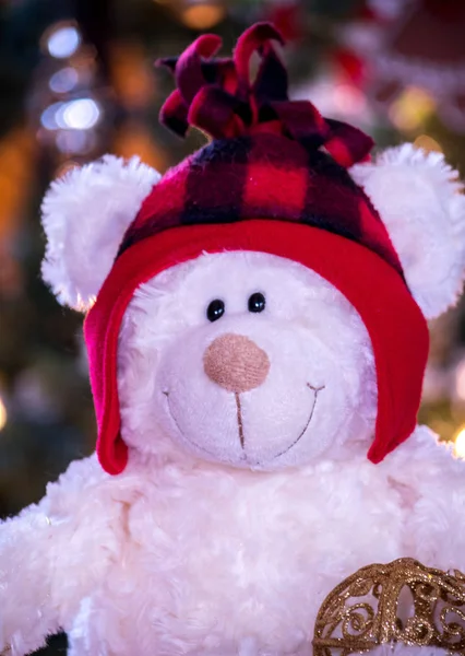 泰迪熊在冬季帽子特写 — 图库照片