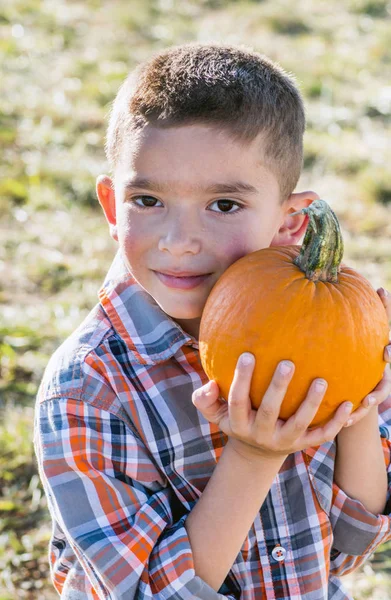 Handsome Hispanic boy poses with small pumpkin — Stock Photo, Image