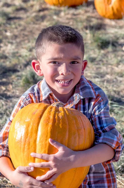 Boy picks the best pumpkin — Stock Photo, Image