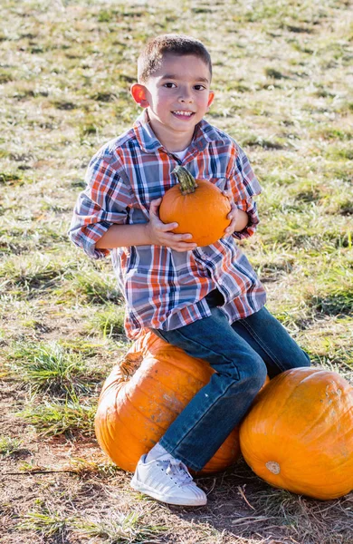 Boy cant choose just one pumpkin — Stock Photo, Image
