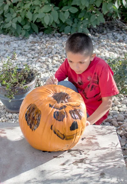 Creative pumpkin art — Stock Photo, Image