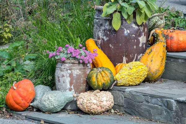 Kleurrijke herfstgroenten op leistapjes — Stockfoto