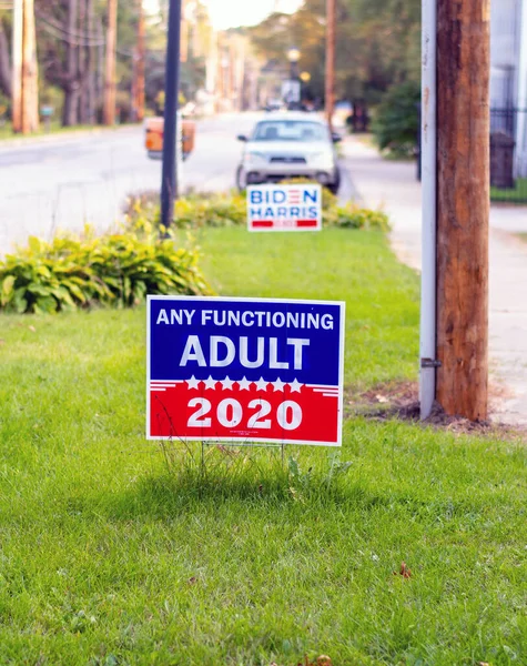 Riverside Michigan Usa Września 2020 Zabawny Znak Kampanii Dla Prezydenta — Zdjęcie stockowe