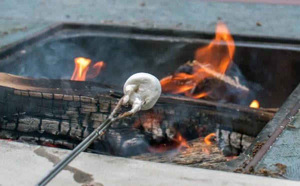 Roasting Marshmallows Camp Fire Perfect Fall Activity Outdoors Crisp Autumn — Stock Photo, Image