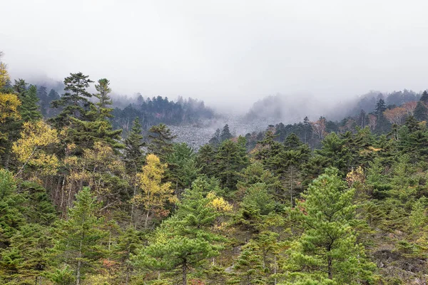 Cores Outono Nas Montanhas — Fotografia de Stock