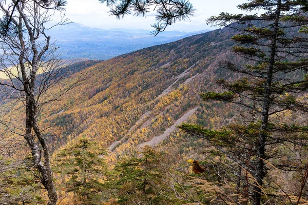 Herbstfarben Den Bergen — Stockfoto