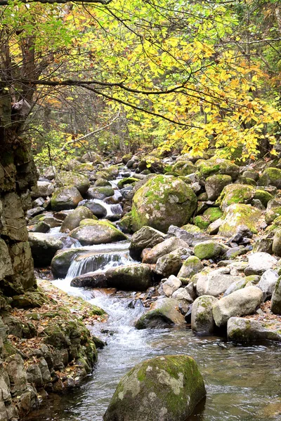 Autumn Colors River Stock Picture