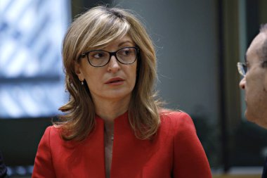 Brüksel' deki AB Dışişleri Konseyi, Belçika