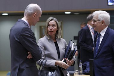 Brüksel' deki AB Dışişleri Konseyi, Belçika