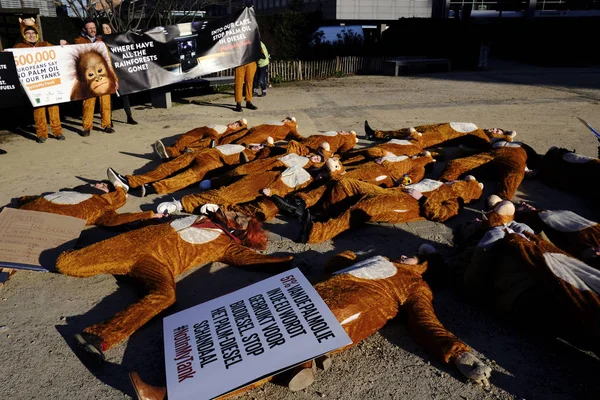 Activists demonstrate against palm oil in biodiesel in front of — Stock Photo, Image