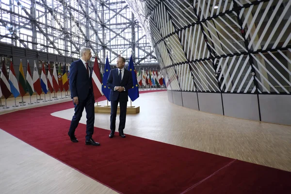 Brussel België Februari 2019 Minister President Van Letland Krisjanis Karins — Stockfoto