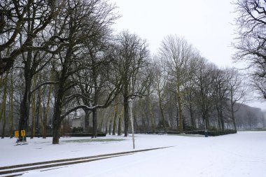 Brüksel'de yoğun kar yağışı, Belçika