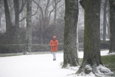 Brüksel'de yoğun kar yağışı, Belçika