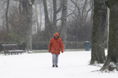 Brüksel'de yoğun kar yağışı, Belçika