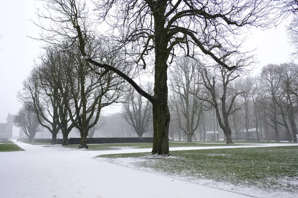 Fuertes nevadas en Bruselas, Bélgica — Foto de Stock