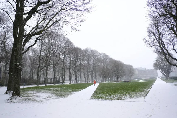 Heavy snowfall in Brussels, Belgium — Stock Photo, Image
