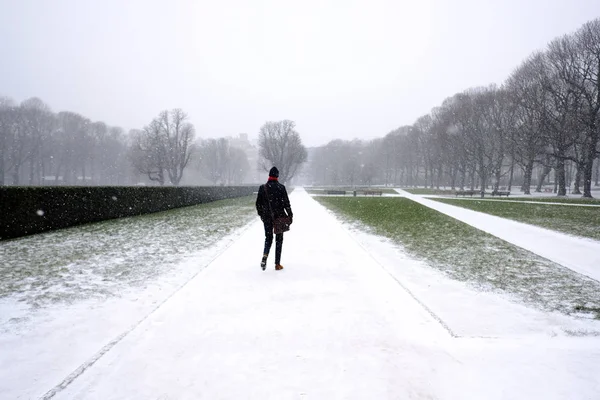 Fuertes nevadas en Bruselas, Bélgica — Foto de Stock