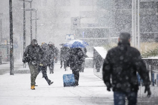 Neve pesada em Brussels, Bélgica — Fotografia de Stock