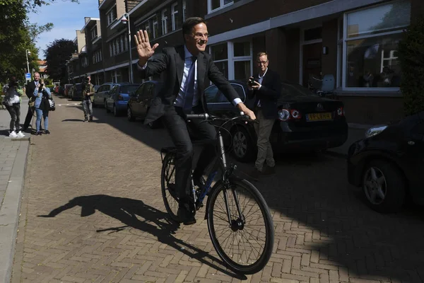 Hollanda Başbakanı Mark Rutte Th bir sandık merkezinde