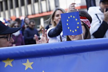  Brüksel'de Avrupa Birliği yanlısı gösteri, Belçika