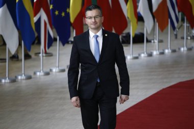 Brüksel, Belçika. 28 Mayıs 2019.Marjan Sare