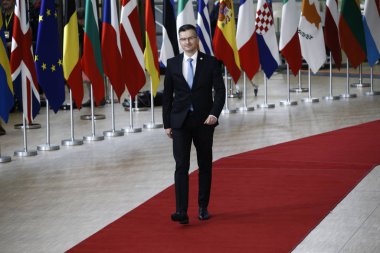 Brüksel, Belçika. 28 Mayıs 2019.Marjan Sare