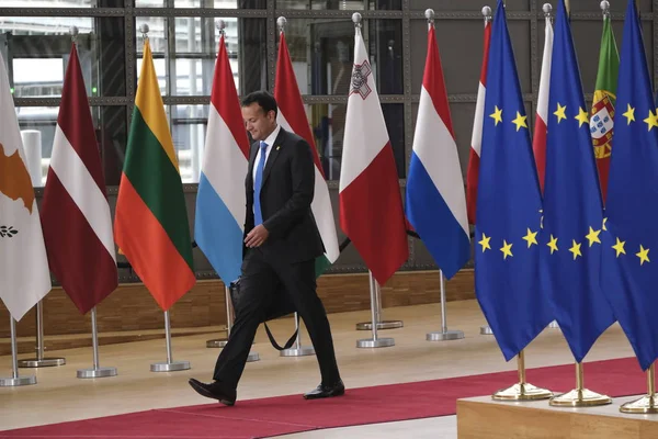 比利时布鲁塞尔 2019年6月30日爱尔兰总理莱奥 瓦拉德卡尔出席欧盟峰会 — 图库照片