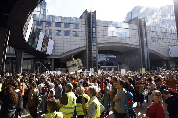 Acción sobre el cambio climático. Bruselas, Bélgica — Foto de Stock