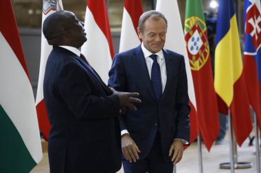 Brüksel'de Ab-Güney Afrika zirvesi, Belçika