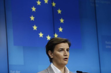 Brüksel'deki Avrupa Birliği-Sırbistan Ortaklık Konseyi, Belçika