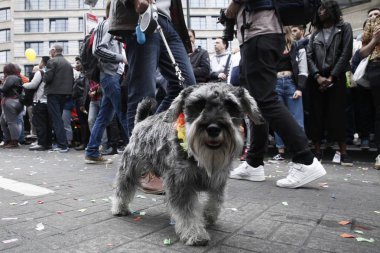 Belçika Lgbt Pride Parade, Brüksel