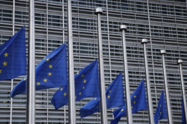 Drapeaux de l'UE en berne, Bruxelles — Photo