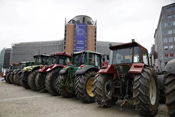 Belçika-AB-tarım — Stok fotoğraf