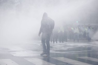 Brüksel'de Sarı Yelekler Protestosu