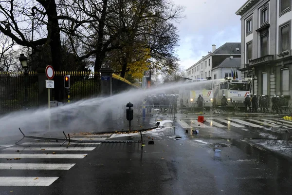 Brüksel'de Sarı Yelekler Protestosu