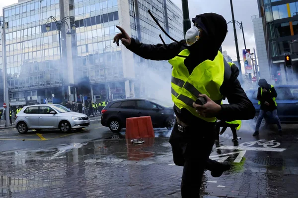 Brüksel'de Sarı Yelekler Protestosu