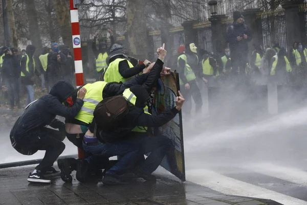 Brüksel'de Sarı Yelekler Protestosu
