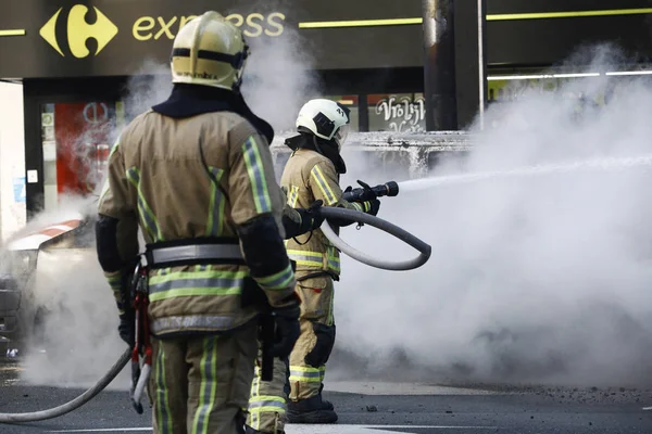 Brüksel'de Sarı Yelekler Protestosu