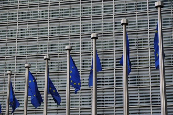 Ευρωπαϊκές Σημαίες Που Ανεμίζουν Τον Άνεμο Έξω Από Την Έδρα — Φωτογραφία Αρχείου