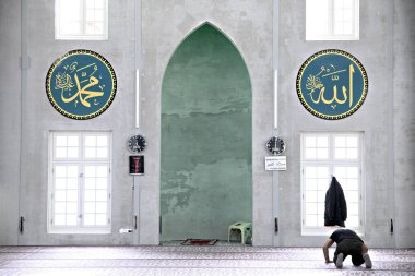 Hollanda-Siyaset-oy-Türkiye-eu