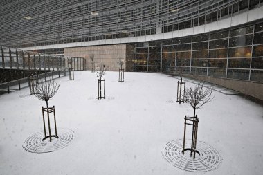 Belçika-hava durumu-kar