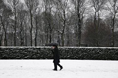 Belçika-hava durumu-kar