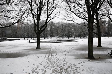 Belçika-hava durumu-kar