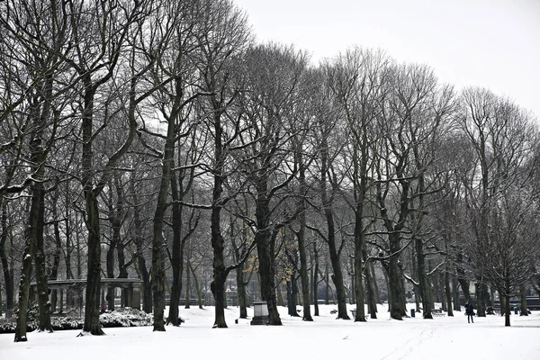 BELGIQUE - MÉTÉO - NEIGE — Photo