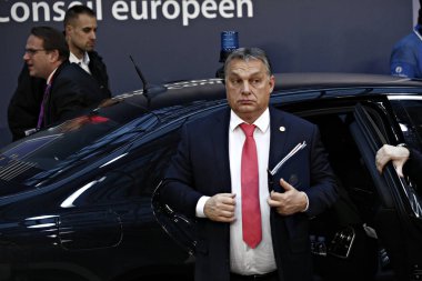 Belçika-AB-Konsey