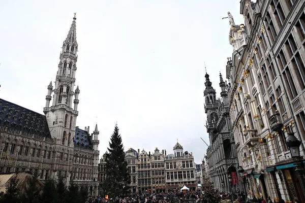 Belgie – vánoční hospodářství — Stock fotografie